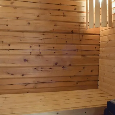 Amazing In With Sauna Holiday home